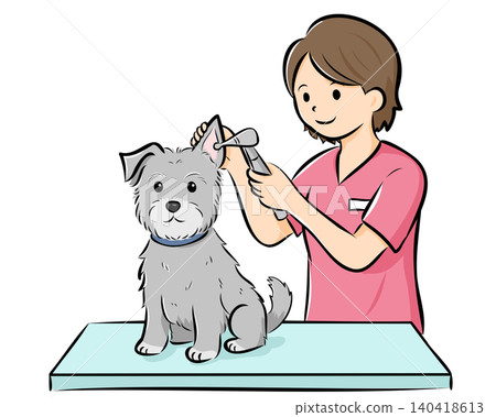 A vector illustration of a dog (Schnauzer) receiving a checkup at a veterinary clinic, easy to use on websites and catalogs. A vector illustration of a dog (Schnauzer) receiving a checkup at a veterinary clinic, easy to use on websites and catalogs. 140418613