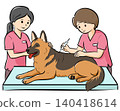大型犬(德國牧羊犬)在獸醫診所接受檢查的向量插圖,易於在網站和產品目錄中使用。 大型犬(德國牧羊犬)在獸醫診所接受檢查的向量插圖,易於在網站和產品目錄中使用。 140418614