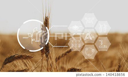 Farm uses smart technology for crop monitoring and data collection in wheat fields 140418656