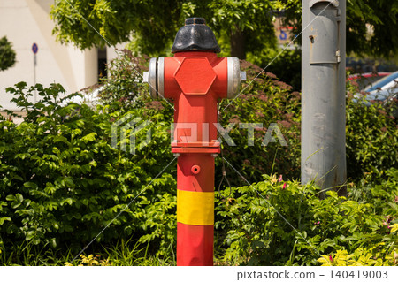 Vibrant red emergency fire hydrant standing out against lush green bushes on a sunny day Vibrant red emergency fire hydrant standing out against lush green bushes on a sunny day 140419003