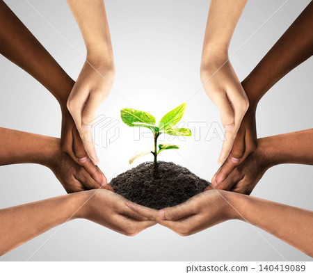 Group of diverse people care and responsibility idea as a corporation through social diverse hands nurturing a sapling tree. Social community cooperation concept. group crowdfunding investment symbol. Group of diverse people care and responsibility idea as a corporation through social diverse hands nurturing a sapling tree. Social community cooperation concept. group crowdfunding investment symbol. 140419089