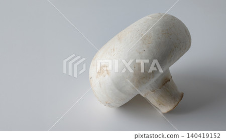 High-angle studio shot of a fresh agaricus mushroom isolated on a neutral gray gradient surface High-angle studio shot of a fresh agaricus mushroom isolated on a neutral gray gradient surface 140419152