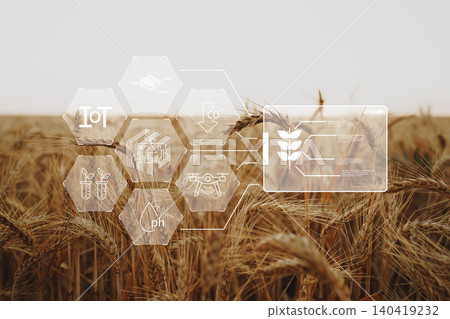 Smart farm uses technology for crop monitoring and data collection in wheat field Smart farm uses technology for crop monitoring and data collection in wheat field 140419232