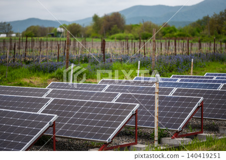 Sustainable energy panels in a lush green vineyard with mountains under soft daylight Sustainable energy panels in a lush green vineyard with mountains under soft daylight 140419251