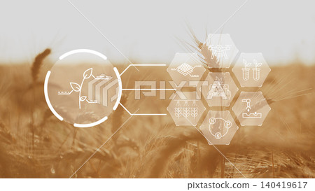 Smart farm technology uses data to improve crop growth and farming in a field setting 140419617