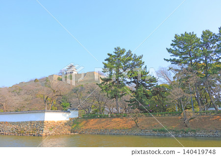 香川縣丸龜市丸龜城風景 香川縣丸龜市丸龜城風景 140419748