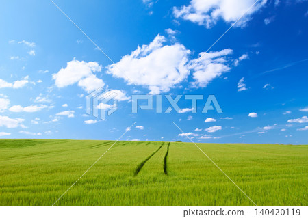 Blue sky, clouds and field at countryside with farm, sustainability and garden landscape in spring. Nature, environment and green grass for eco friendly, growth and horizon with lawn on earth Blue sky, clouds and field at countryside with farm, sustainability and garden landscape in spring. Nature, environment and green grass for eco friendly, growth and horizon with lawn on earth 140420119