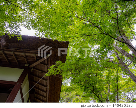 常寂光院,四周綠樹環繞 常寂光院,四周綠樹環繞 140420183