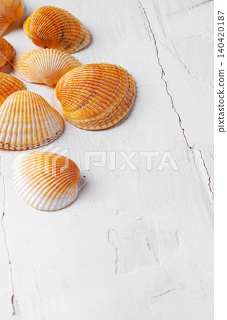 Colorful seashells arranged on a white wooden surface during daylight Colorful seashells arranged on a white wooden surface during daylight 140420187