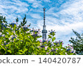 Hydrangeas in Sumida Park and Tokyo Skytree 140420787