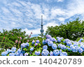 Hydrangeas in Sumida Park and Tokyo Skytree 2 140420789