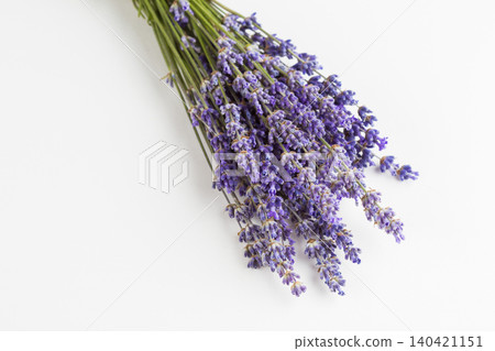 Lavender flowers arranged in a bundle on a white surface showing purple blooms and green stems Lavender flowers arranged in a bundle on a white surface showing purple blooms and green stems 140421151