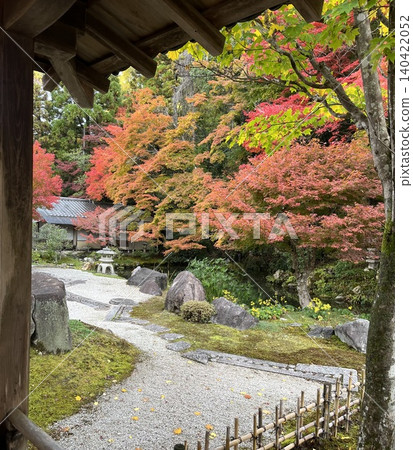 秋葉,一條通往旱景花園的小徑 秋葉,一條通往旱景花園的小徑 140422052