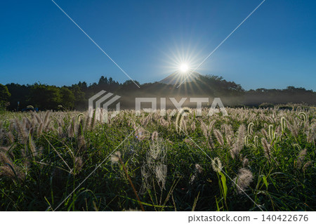 [Diamond Fuji in Autumn] Diamond Fuji and the Shiba grass seen from the Inokashira area of Asagiri Plateau in early autumn [Shizuoka Prefecture] 140422676