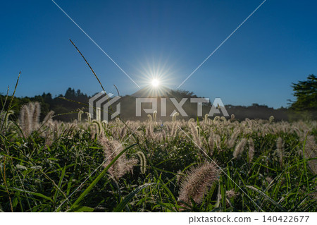 [Diamond Fuji in Autumn] Diamond Fuji and the Shiba grass seen from the Inokashira area of Asagiri Plateau in early autumn [Shizuoka Prefecture] 140422677
