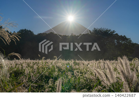 [Diamond Fuji in Autumn] Diamond Fuji and the Shiba grass seen from the Inokashira area of Asagiri Plateau in early autumn [Shizuoka Prefecture] 140422687