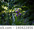 The garden of my childhood home 140422856