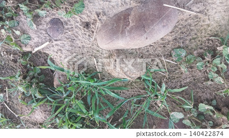 broken stone on the ground 140422874