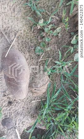 broken stone on the ground 140422875