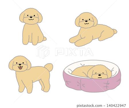 Cute Toy Poodle Pose Set 140422947