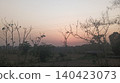 silhouette tree with sunset 140423073