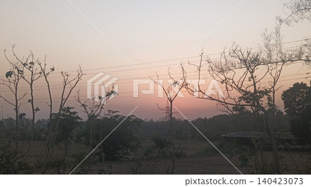 silhouette tree with sunset 140423073