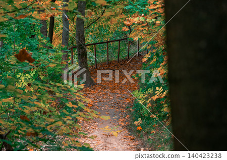 Autumn woodland path covered in fallen leaves with vibrant foliage 140423238
