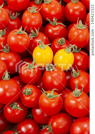 A scene of harvesting fresh vegetables, with yellow tomatoes shining amongst the red ones. A scene of harvesting fresh vegetables, with yellow tomatoes shining amongst the red ones. 140423322