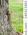 Small Lizard Resting on Tree Trunk in Nature 140423865