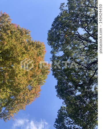 從高處俯瞰的秋景 140424450