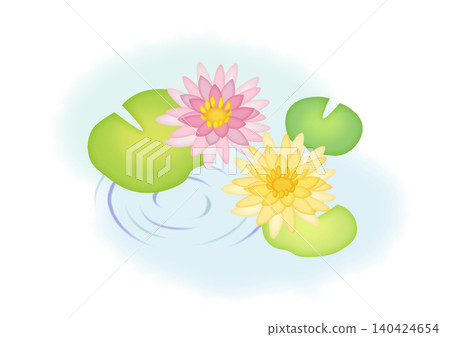 Illustration of water lilies floating on water 140424654