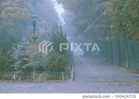 Misty autumn park pathway lined with trees and a vintage lamppost Misty autumn park pathway lined with trees and a vintage lamppost 140424729
