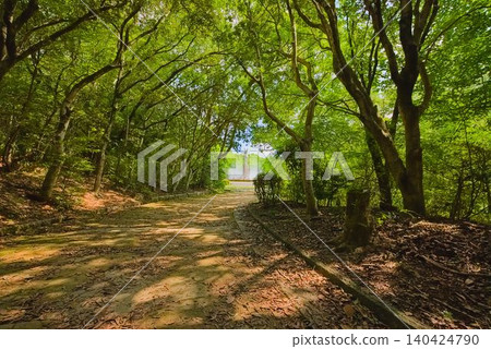 在森林公園散步 在森林公園散步 140424790