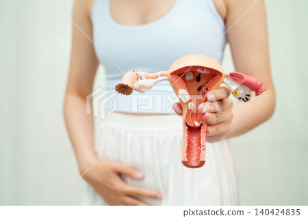 Uterus, Asian woman holding human anatomy model. Uterus, Asian woman holding human anatomy model. 140424835