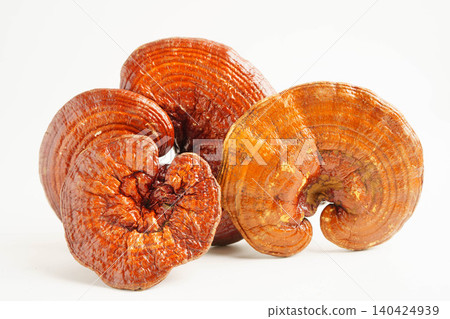 Lingzhi or Reishi mushroom with capsules, organic natural healthy food. Lingzhi or Reishi mushroom with capsules, organic natural healthy food. 140424939
