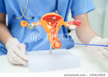 Doctor holding human uterus model for vaginal and cervix pap smear check up in the obstetrics and gynecology. Doctor holding human uterus model for vaginal and cervix pap smear check up in the obstetrics and gynecology. 140424964