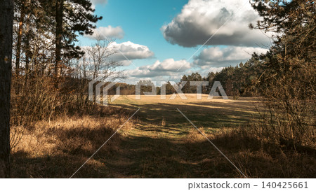 Forest Edge Opening to Sunny Meadow 140425661