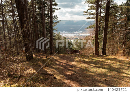 Forest Viewpoint Bench Above Distant City Forest Viewpoint Bench Above Distant City 140425721