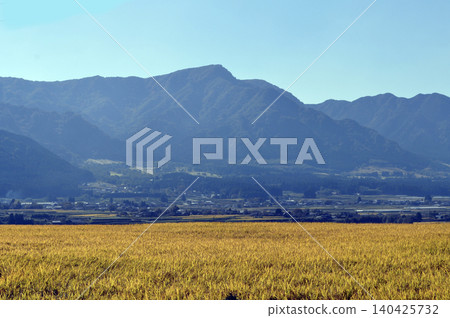 Autumn in Minami Aso: Golden rice fields and the Aso Mountains Autumn in Minami Aso: Golden rice fields and the Aso Mountains 140425732
