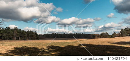 Open Meadow With Clouds and Pine Forest Open Meadow With Clouds and Pine Forest 140425794