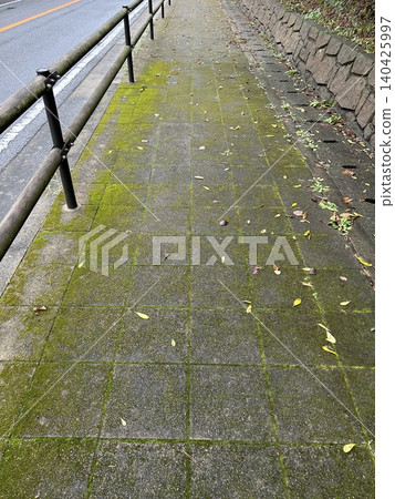 一條長滿青苔的鄉村公路 一條長滿青苔的鄉村公路 140425997