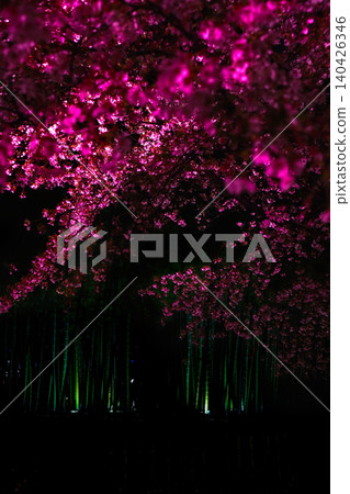 夜裡，櫻花靜靜綻放 140426346