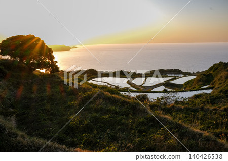 Evening view of terraced rice fields overlooking the sea 140426538