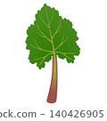 Green rhubarb leaf isolated on white background. 140426905