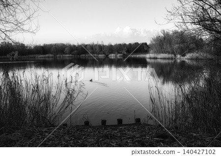 Black and White Lake Landscape with Duck 140427102