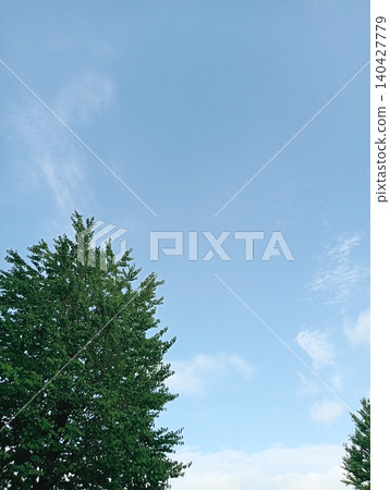 A refreshing background image featuring a clear blue sky and trees in early summer, with lush greenery. A refreshing background image featuring a clear blue sky and trees in early summer, with lush greenery. 140427779