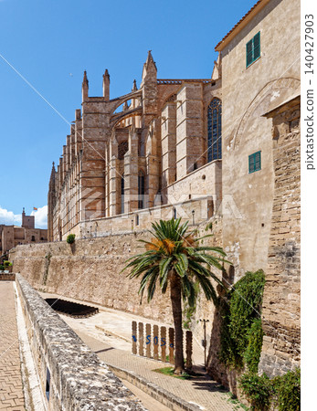 Cathedral - Basilica de Santa Maria de Mallorca - Spain Cathedral - Basilica de Santa Maria de Mallorca - Spain 140427903