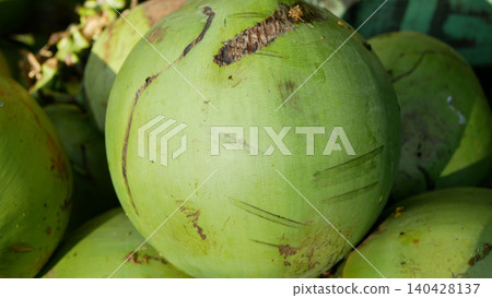 Green circle coconut tree detail Cocos nucifera cocoanut nut fresh piled young green palm sweet white flesh tropical climates food and water quench their thirst drinking farmer farm field agriculture 140428137