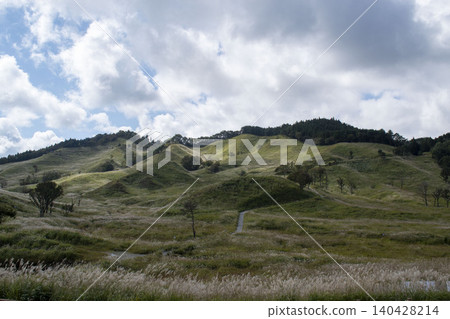 兵庫縣上川町的遠峰高原,廣闊的蒲葦草田和綿延起伏的丘陵。 兵庫縣上川町的遠峰高原,廣闊的蒲葦草田和綿延起伏的丘陵。 140428214
