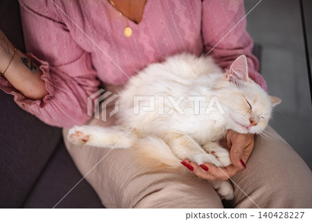 Woman holding fluffy white cat sleeping peacefully on lap Woman holding fluffy white cat sleeping peacefully on lap 140428227